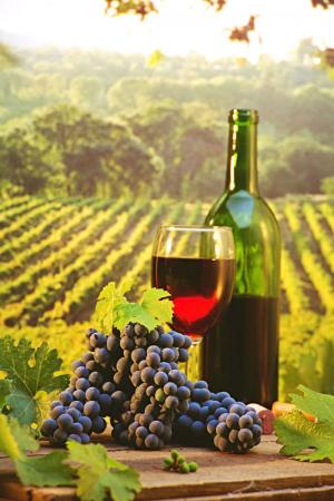 Фестиваль авторского вина “Живое вино – 2013” состоится 18 мая
