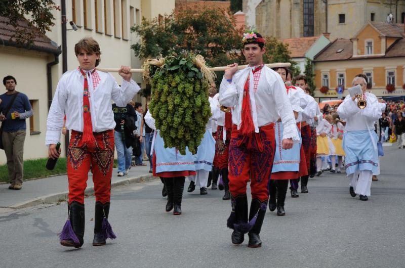  В Чехии в сентябре пройдет Праздник сбора винограда
