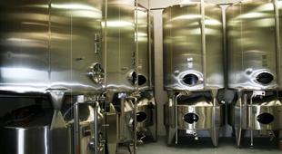  ВИНОДЕЛИЕ: Современные биотехнологические подходы к процессу винификации в винодельческом производстве