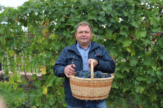  Праздник сбора винограда организовал киевский винодел-аматор Сергей Коженевский