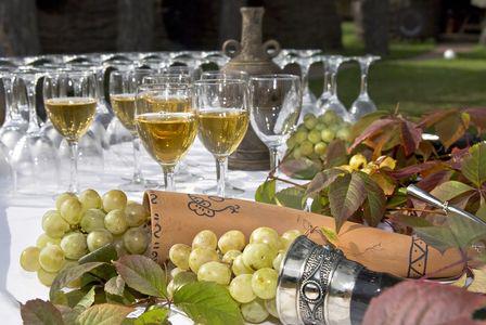  Украина и Грузия подписали договор о сотрудничестве в сфере виноделия