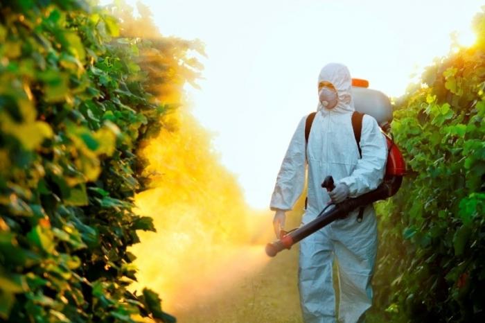  12 объектов хозяйствования получили лицензии по торговле пестицидами и агрохимикатами, а также по проведению фумигации