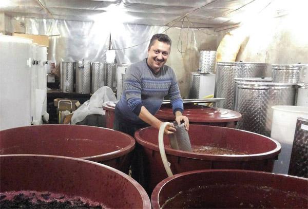  Более двух десятков лет независимости Украины, а в виноделии нашей страны – полный «совок»! – винодел Александр Ковач
