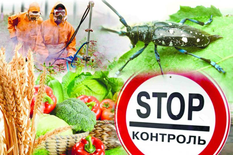 Депутаты Верховной Рады предлагают упростить госрегулирование карантина растений