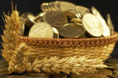 ВРУ выделила 550 млн. гривен на поддержку украинских аграриев