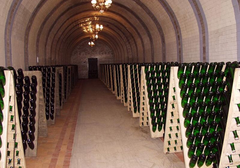  Алексей Пугачев возглавил крымский завод шампанских вин «Новый Свет»