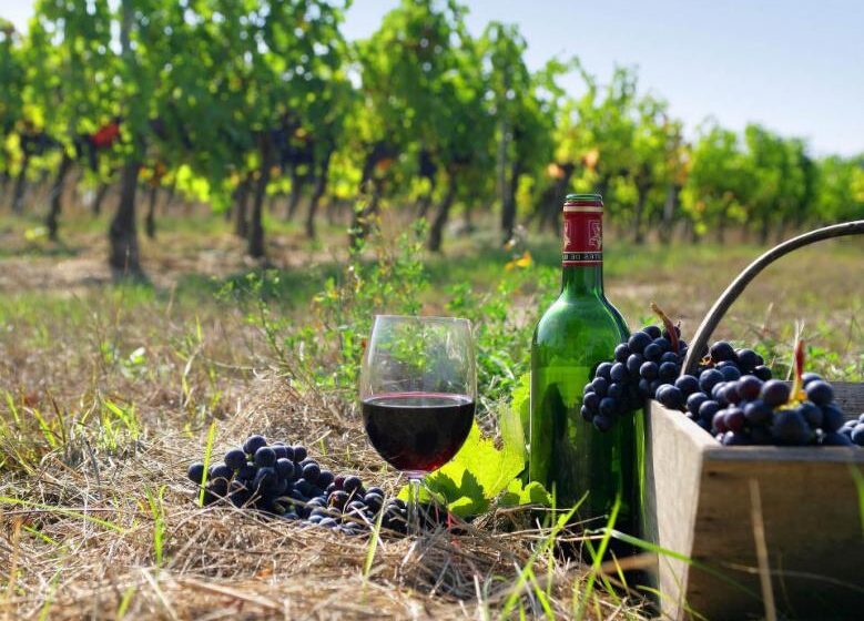  Грузия: экспорт вин снизился на 71%