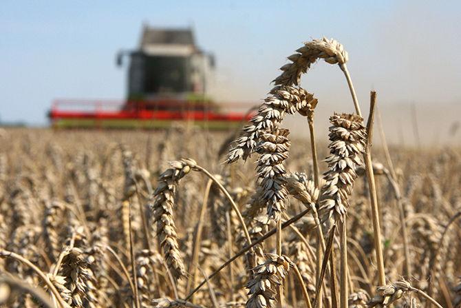  16 млрд. грн. ежегодной поддержки обеспечит украинским аграриям льготный режим налогообложения