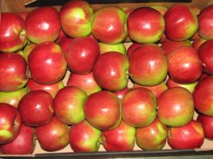  Более чем в 6 раз Польша увеличила поставки яблока в Украину