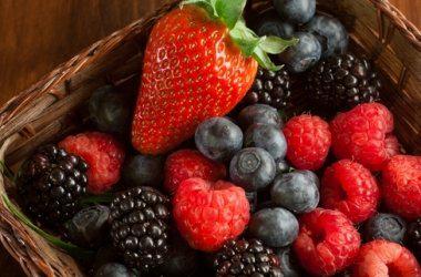  Ведущее событие ягодного рынка Украины начнет свою работу через месяц – 21 мая