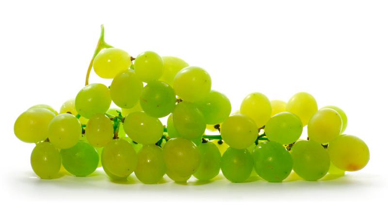  Италия первой в Европе открыла сезон продаж столового винограда