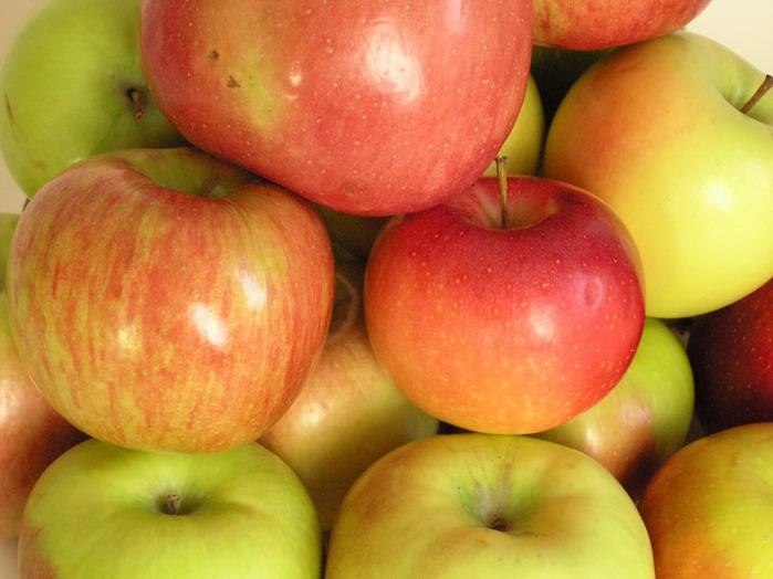  В Украине ожидают рекордный урожай яблока