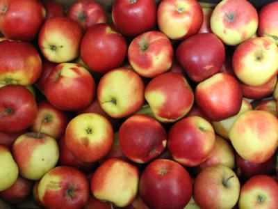  Молдова: экспорт яблок в Украину резко увеличился