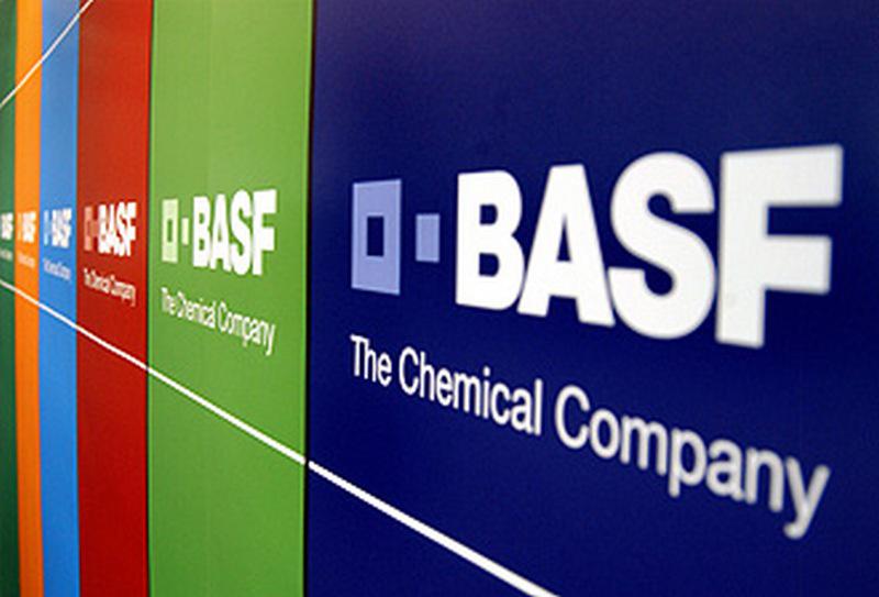  Для устойчивого развития сельского хозяйства BASF страхует аграриев от неперезимовки рапса
