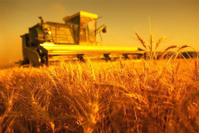  Опыт Нидерландов поможет Украине увеличить производство сельхозпродукции
