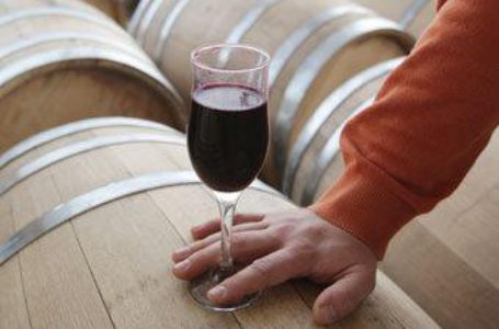 ГФС в Одесской области Украины предлагает упростить лицензирование производства вина