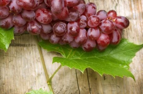 Министр сельского хозяйства Армении призвал компании-закупщики расплатиться за виноград