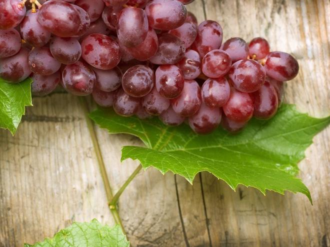  Министр сельского хозяйства Армении призвал компании-закупщики расплатиться за виноград