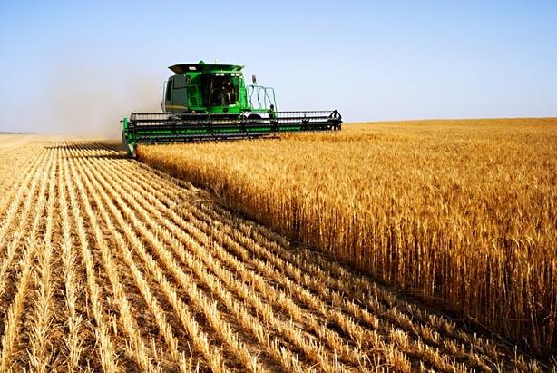  Беларусь: более $450 млн. выделят в 2016 году на развитие аграрного сектора