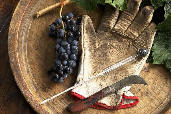  Украинским виноделам сложно конкурировать по ценам с европейским импортом
