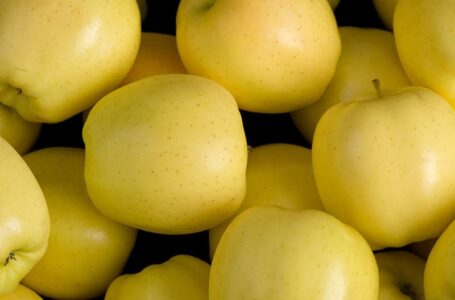 Сортовые предпочтения у украинских производителей яблока изменились – эксперт