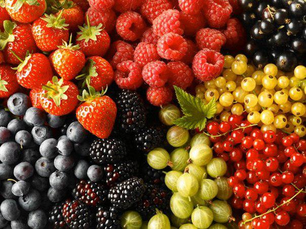  Украина может экспортировать плоды и ягоды в 48 стран