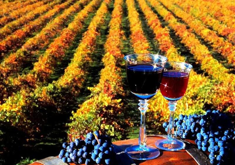  В Ивано-Франковске прошел «Праздник винограда и вина»