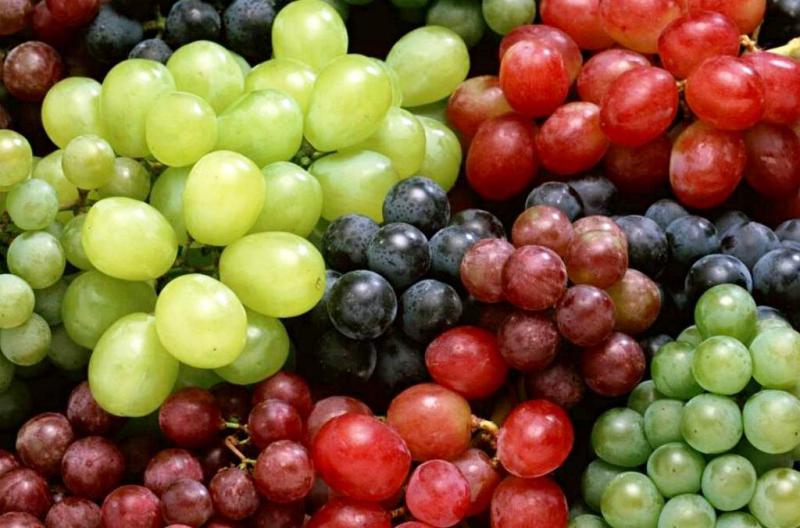  Премьер-министр Грузии назвал успешным сезон уборки винограда в стране