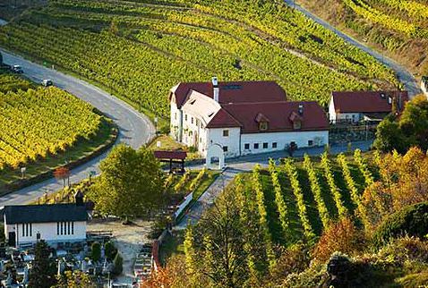 Качество австрийских игристых вин доведено до совершенства