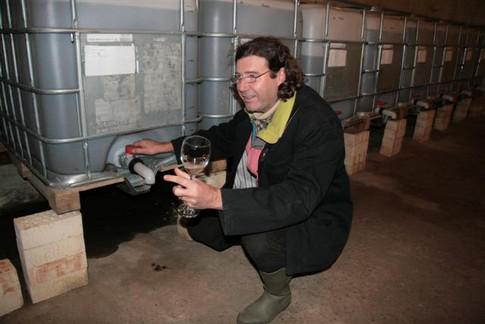  В Одесской области уничтожена часть виноградников французского винодела