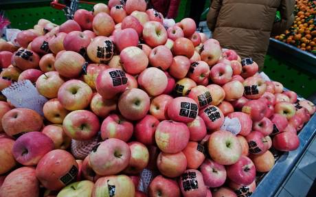  Китай в текущем сезоне планирует экспортировать рекордный объём яблок