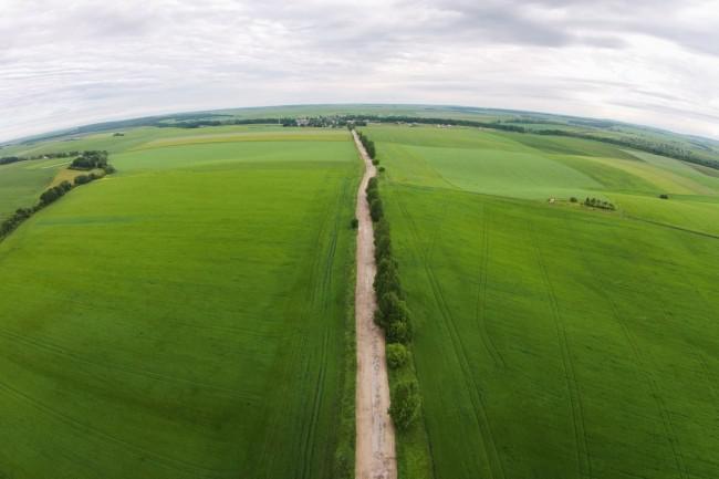  Земельную реформу в Украине предлагают проводить в два этапа