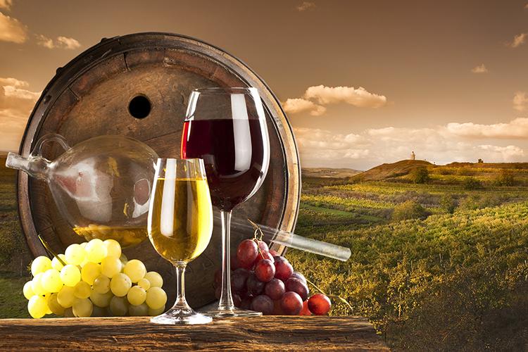  Украина в 2016 году вышла на 2 место по импорту грузинских вин