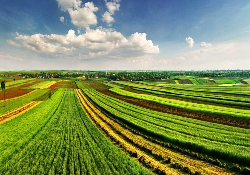  Минагропрод Украины в ближайшее время представит законопроект об обороте сельскохозяйственных земель