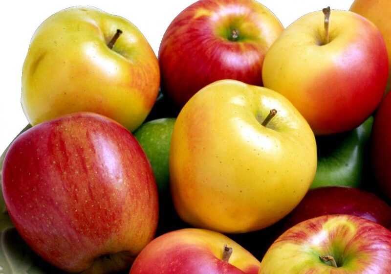  Экспорт украинских яблок в ЕС увеличился в 347 раз