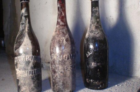 В Чехии нашли и проанализировали 3 бутылки с пивом времен Первой мировой