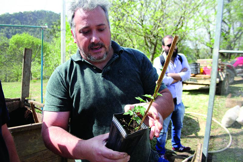  В Бразилии выводят уникальный местный сорт хмеля
