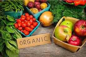  Украинский органический кластер объединил производителей органических продуктов со всей Украины