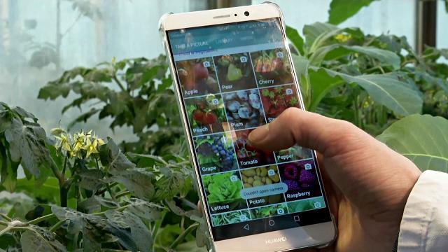  В Украине появится мобильное приложение для фермеров