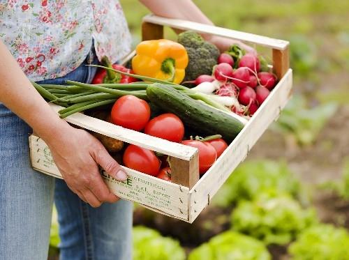  Потребление органических продуктов в Украине может достичь 25 млн евро