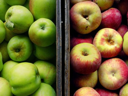  Польские переработчики вынуждены вновь повышать закупочные цены на яблоко