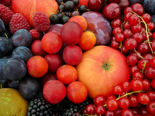  Украина потеряла плодов и ягод на 10 млрд грн
