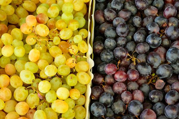  Експорт винограду з України збільшився у 4 рази