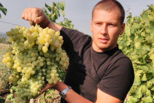  Украинский виноградарь вырастил гроздь весом почти 7 килограммов