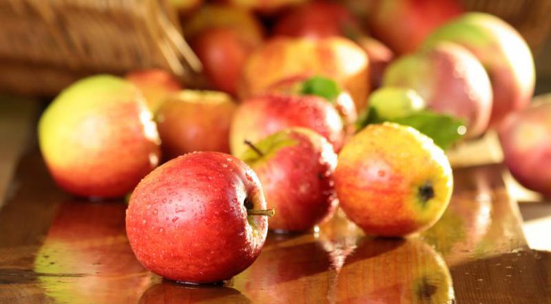  Цены на яблоко в Польше до конца сезона будут только расти