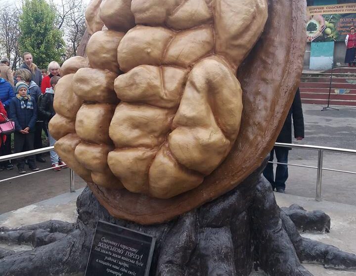  В Украине создан и установлен памятник грецкому ореху