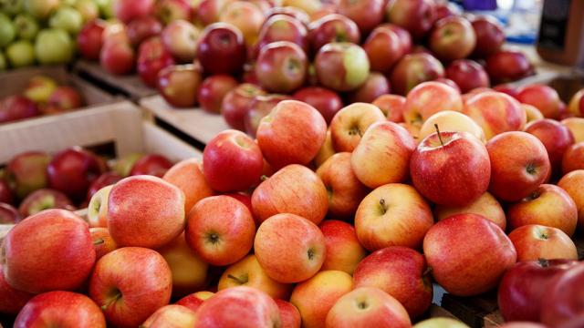  Українські яблука витісняють польські з ринків Європи