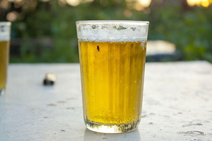  В Швеции набирает популярность слабоалкогольное пиво — «фольколь»