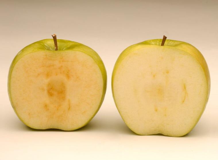  У Канаді почнуть продавати яблука, що не темніють
