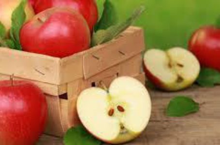 Экспорт яблок из Украины почти в 10 раз превышает импорт